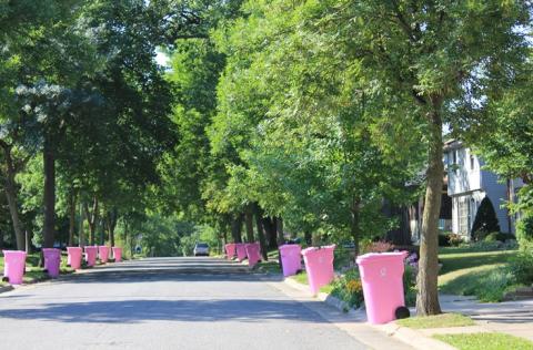 Curb Cancer with Pink Carts Curb Cancer with Pink Carts